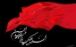 تاسو و عاشورای حسینی بر عموم شیعیان تسلیت باد