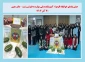 جشن یلدا خوابگاه الزهراء آموزشکده ملی مهارت دختران رشت - دکتر معین
